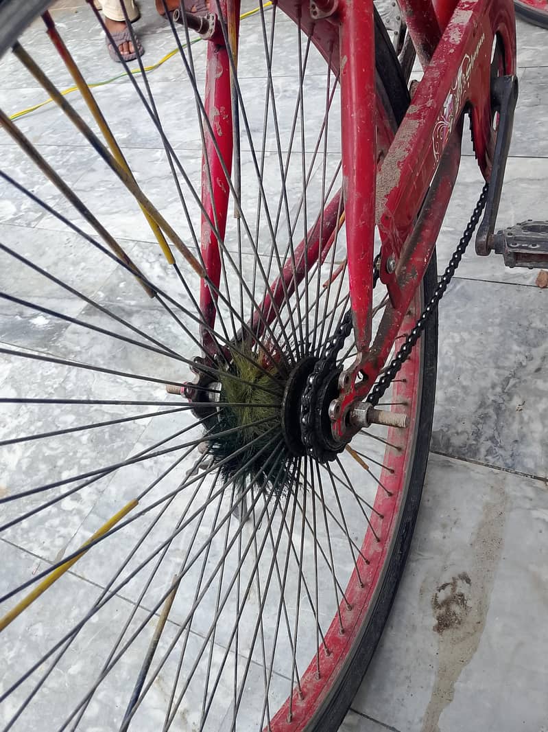 cycle 2