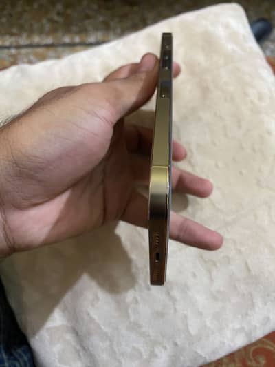 Apple iPhone 12 Pro Max