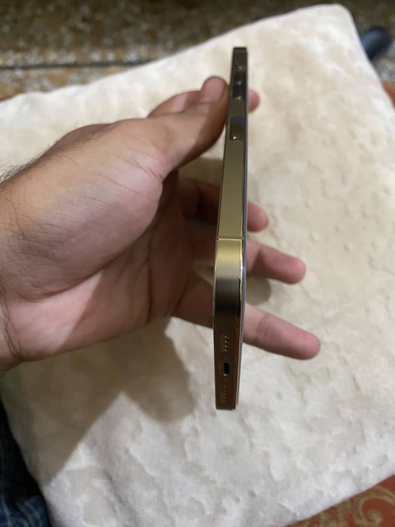Apple iPhone 12 Pro Max 0