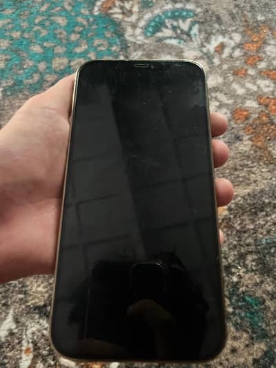 Apple iPhone 12 Pro Max