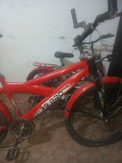 Bicycle