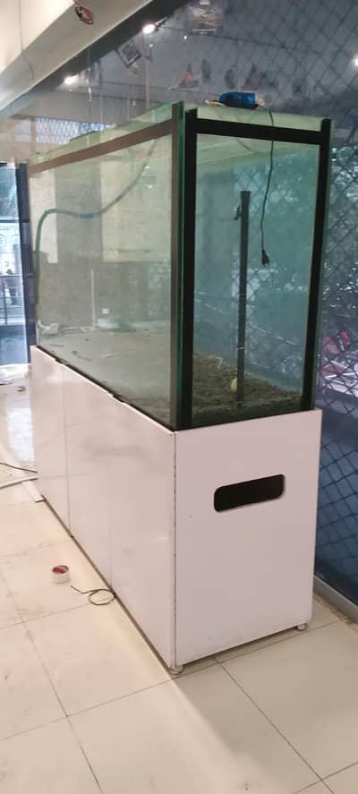 Huge 6×4 Feet Fish Aquarium with Table Stand – Excellent Condition