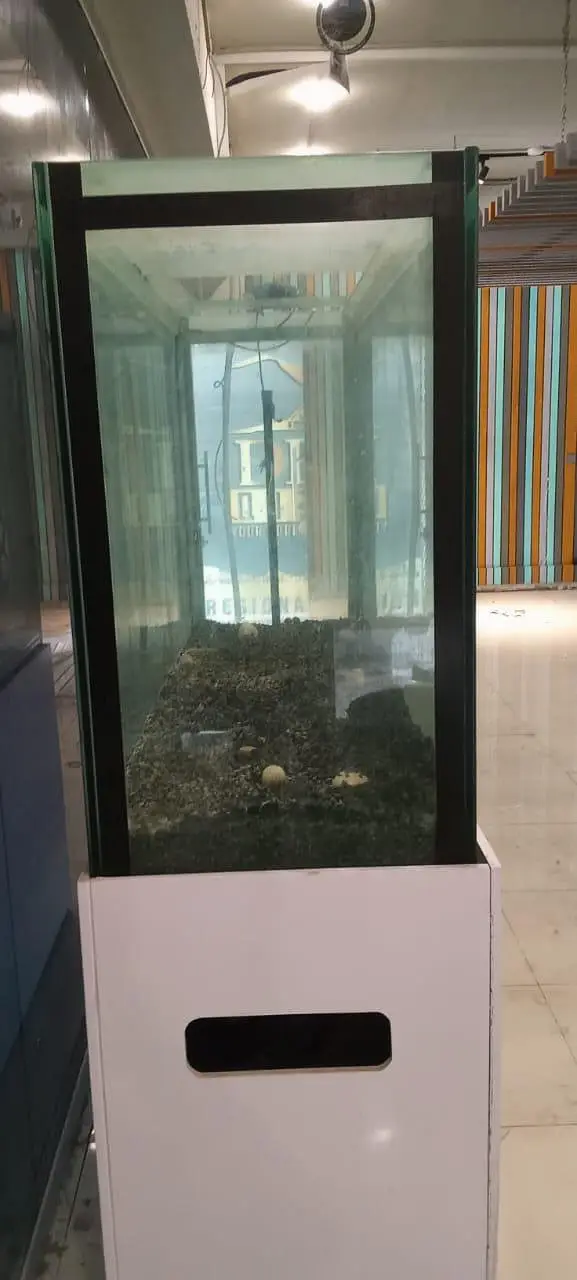 Huge 6×4 Feet Fish Aquarium with Table Stand – Excellent Condition — photo 2