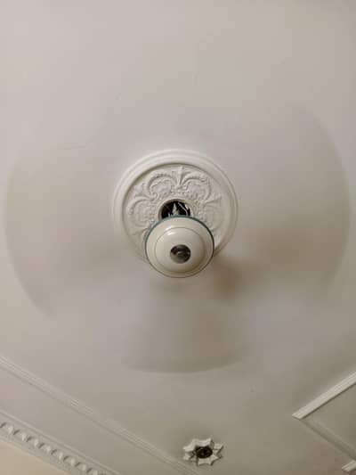 Ceiling fan
