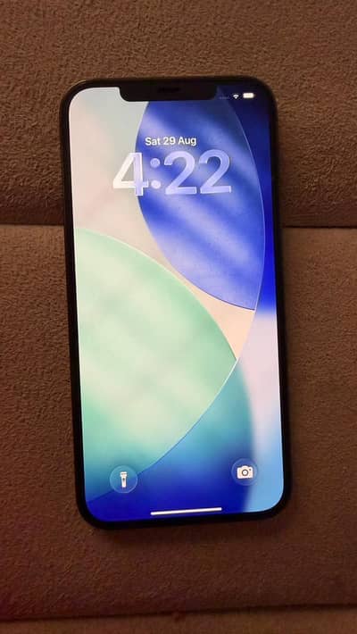 Apple iPhone 12 Pro Max
