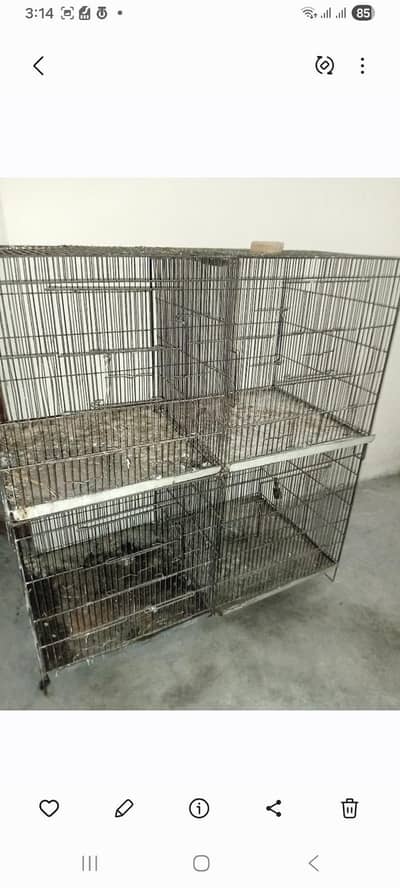 birds cage