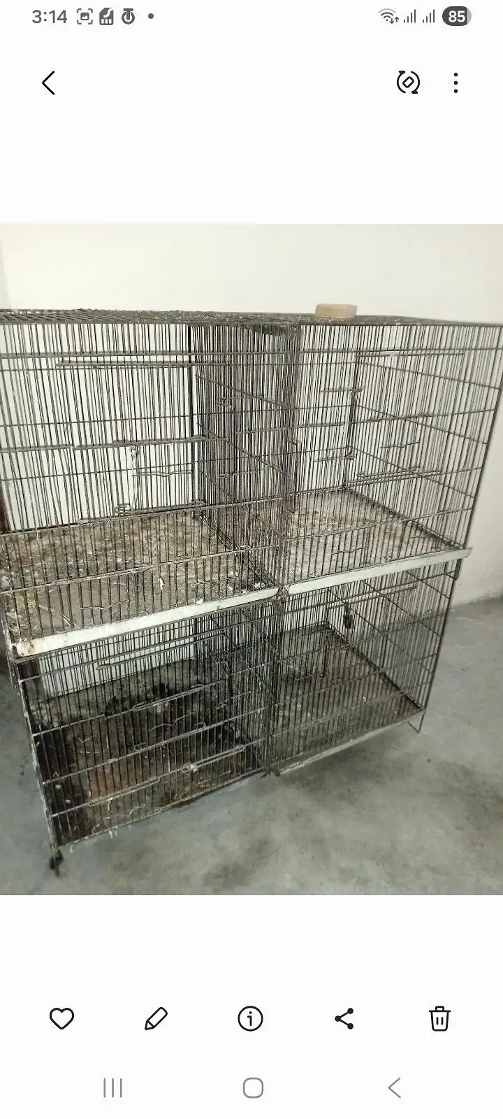 birds cage