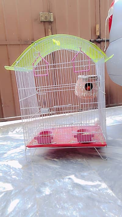 Beautiful Breeding Pair for sale with Cage