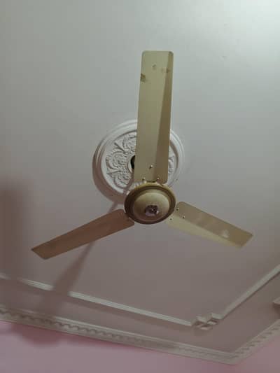 Ceiling fan