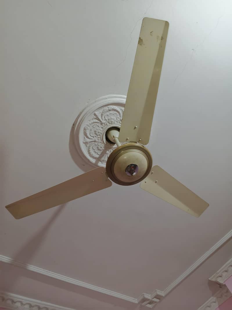 Ceiling fan 1