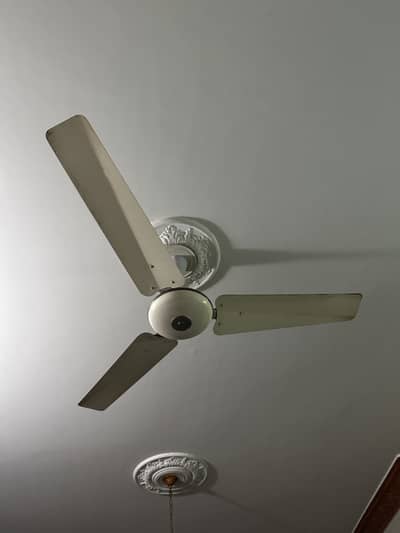 2 Royal Old Fans for sale
