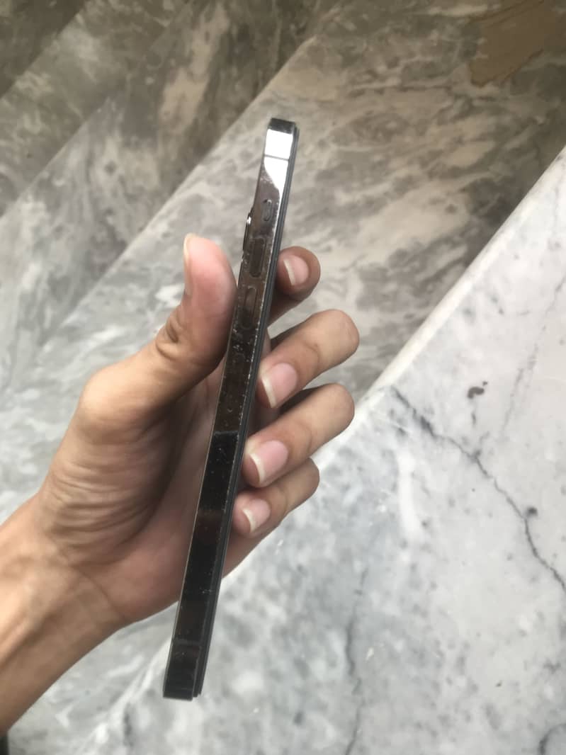 Apple iPhone 13 Pro Max 1