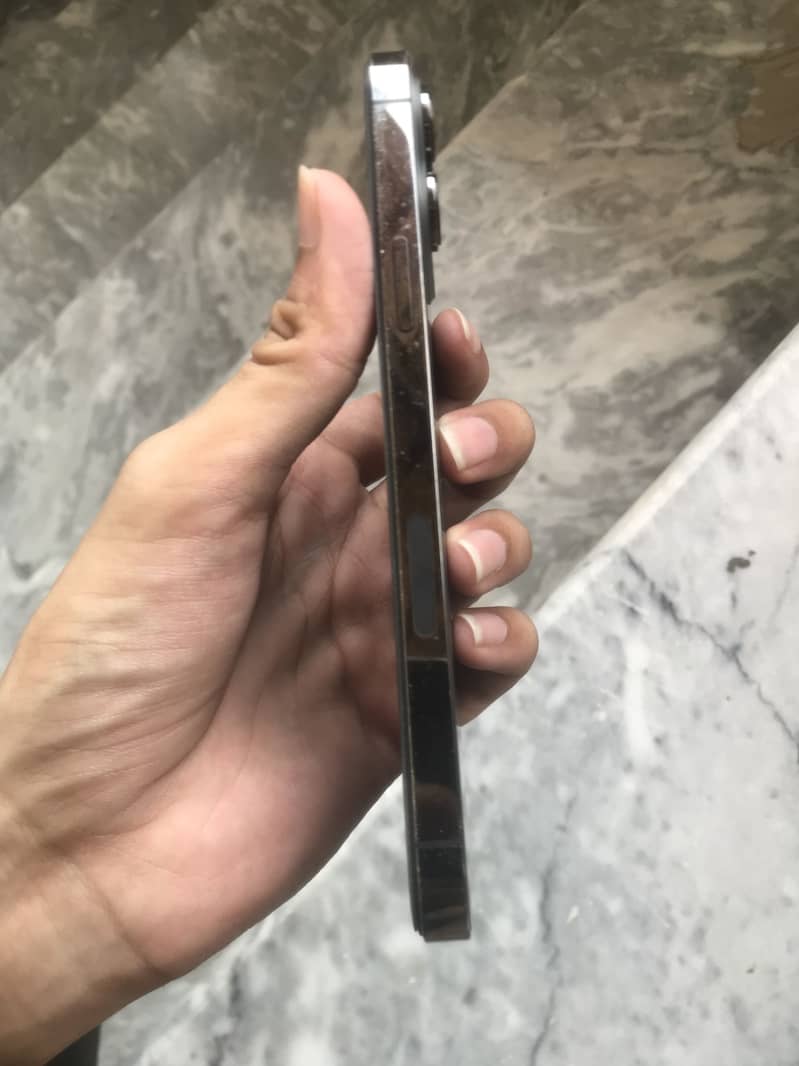 Apple iPhone 13 Pro Max 2