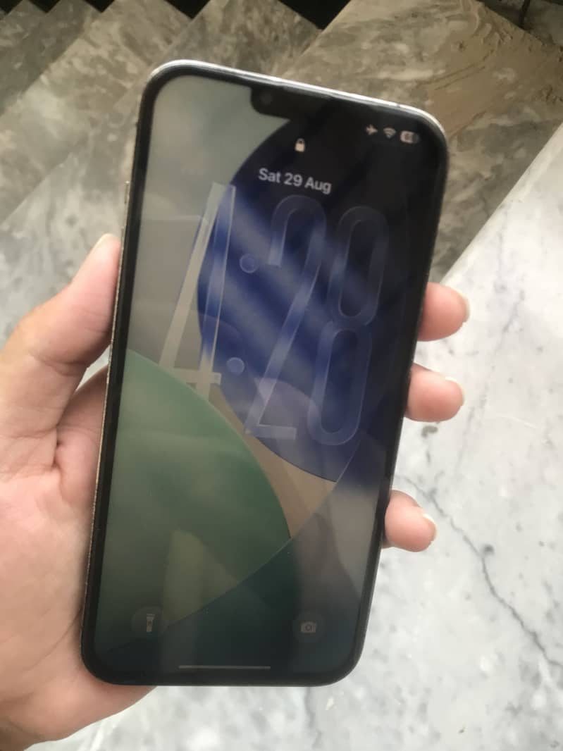 Apple iPhone 13 Pro Max 3