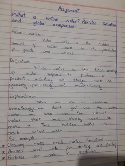 assignment  writing