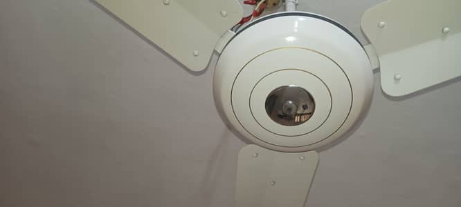 56" Ceiling Fan In Good Condition