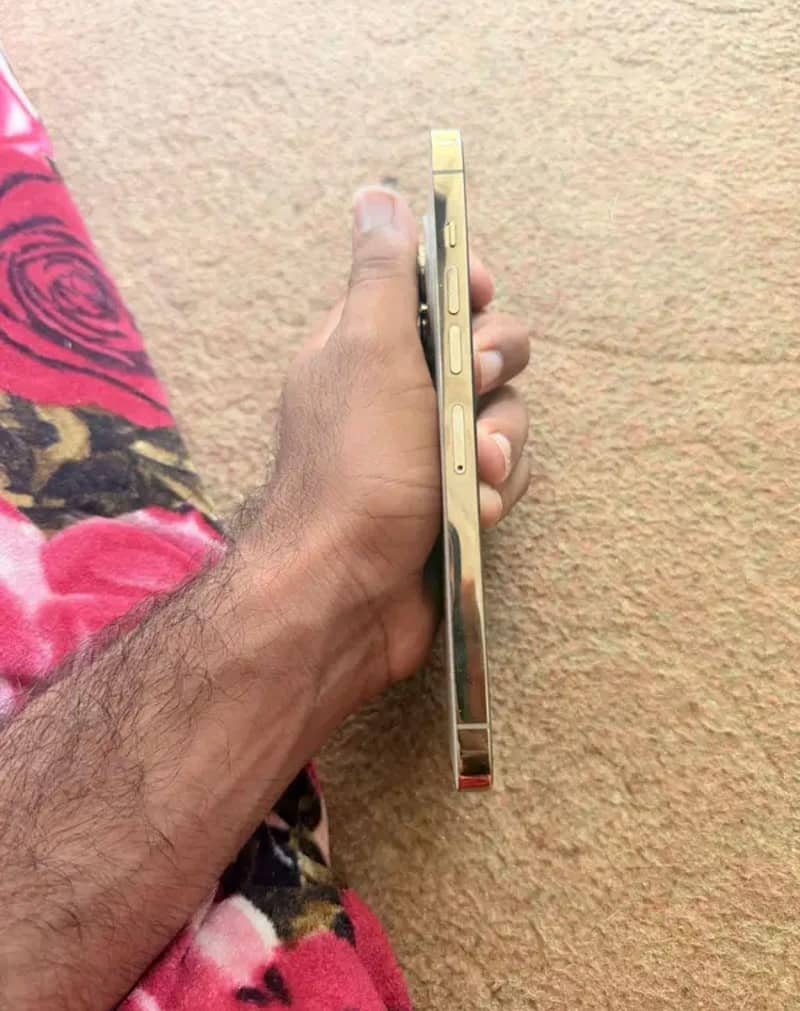 Apple iPhone 13 Pro Max 1
