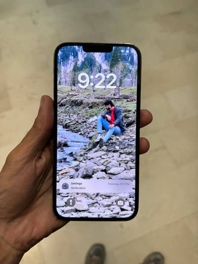 Apple iPhone 13 Pro Max