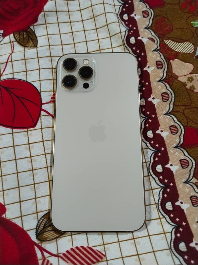 Apple iPhone 12 Pro Max 1