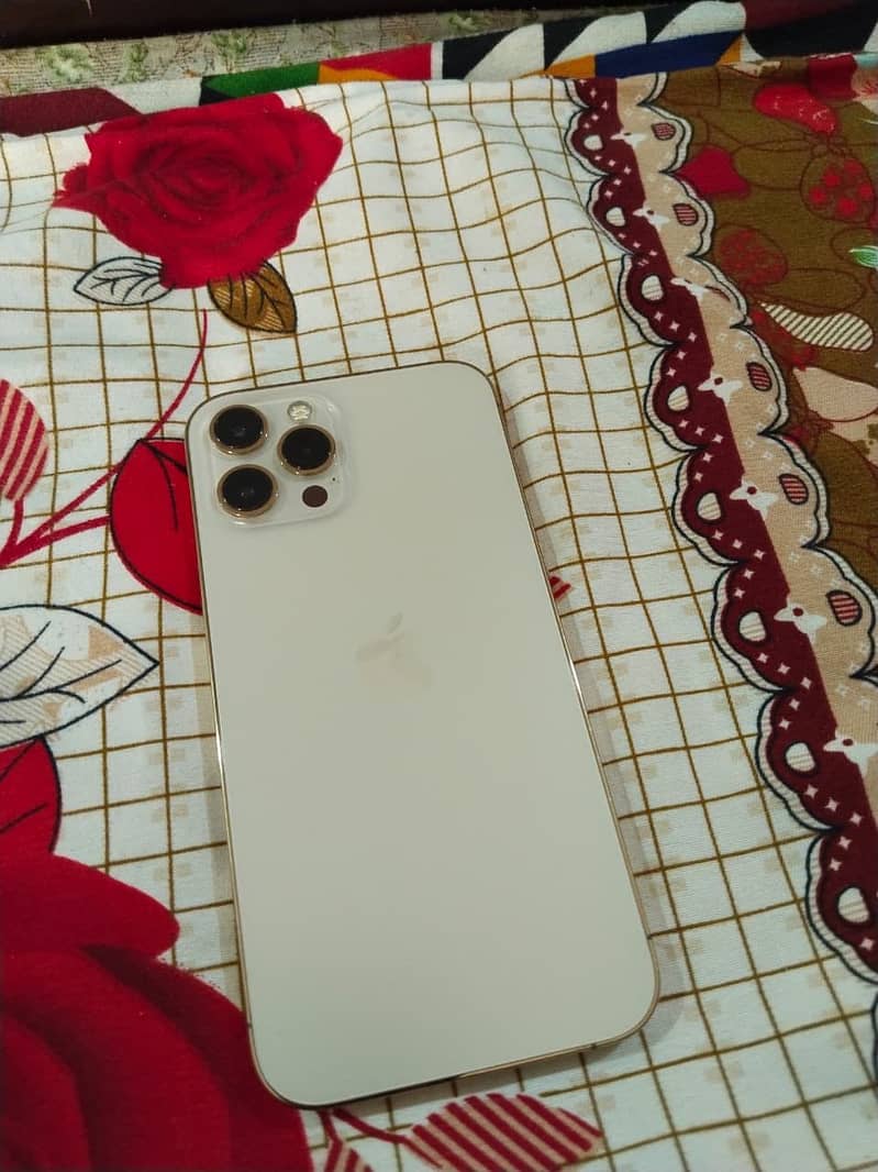 Apple iPhone 12 Pro Max 3