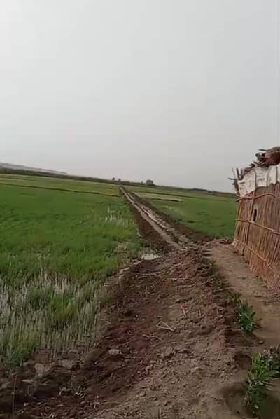 agreculter land for sale near thatta city