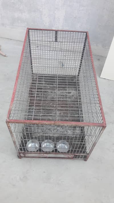 birds cage