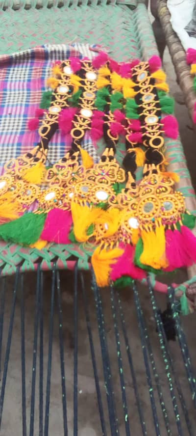 fancy and SADA prandey
