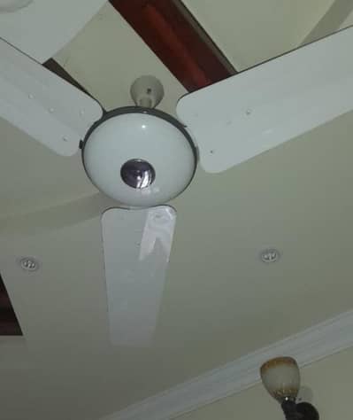 pak Deluxe fan