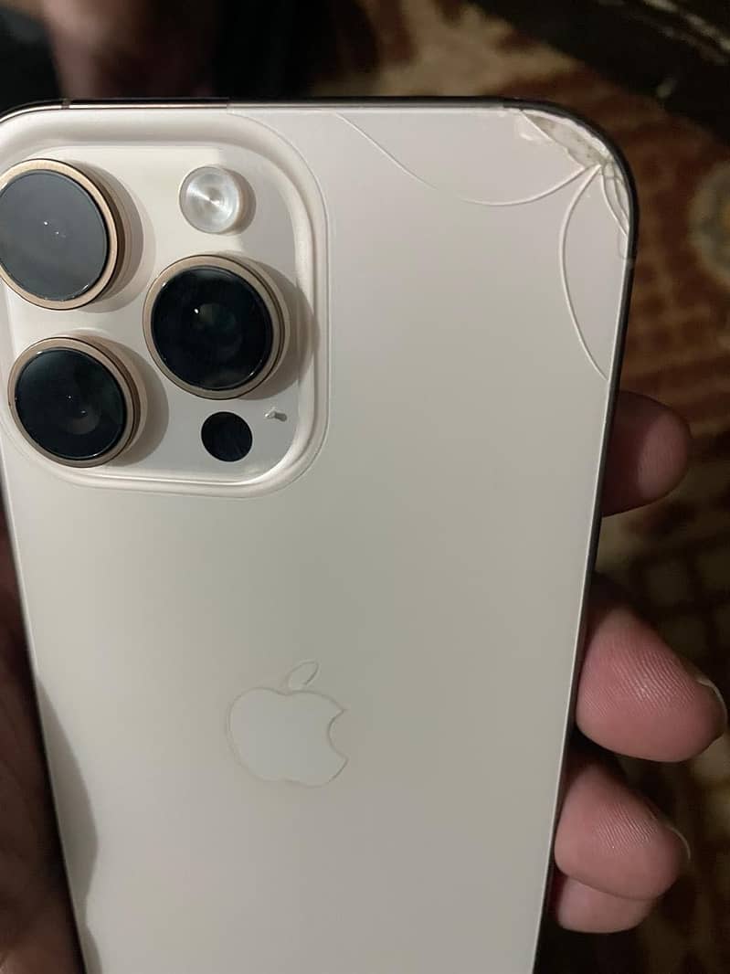 Apple iPhone 16 Pro Max 1