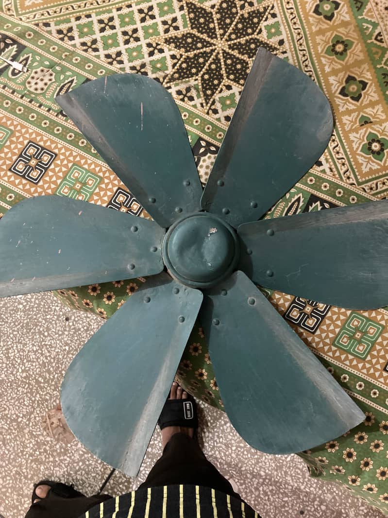 Only fan 2