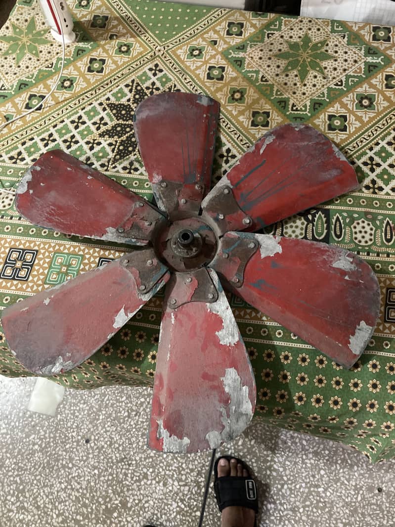 Only fan 3