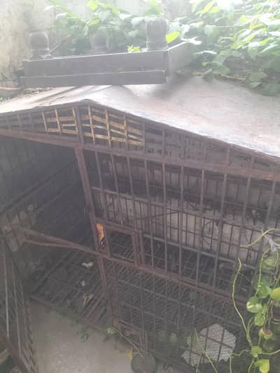 cage for sale