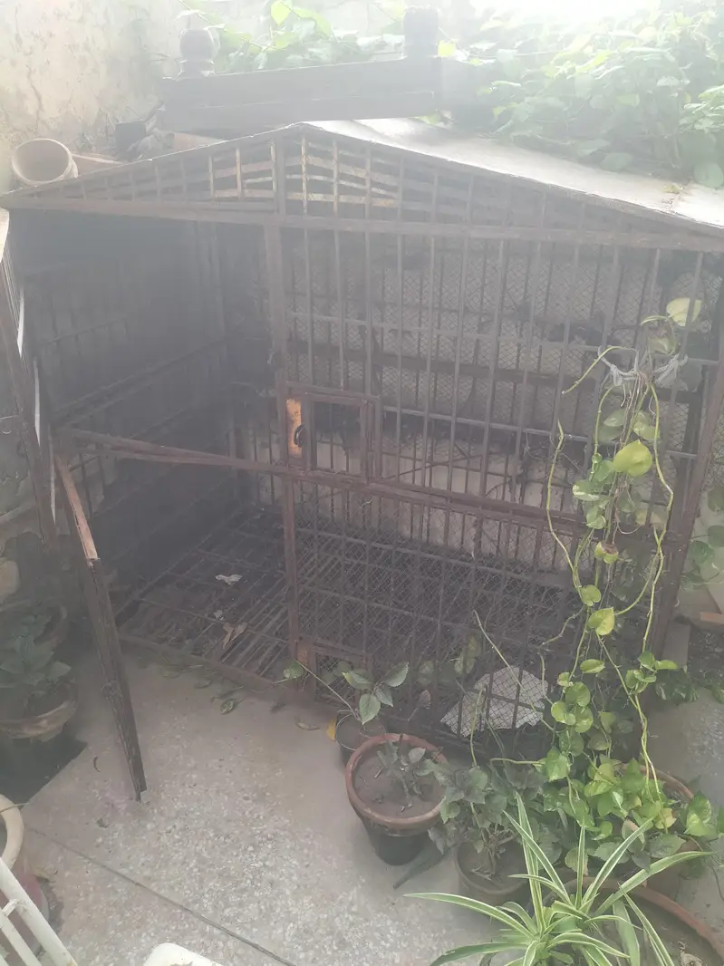 cage for sale — photo 2