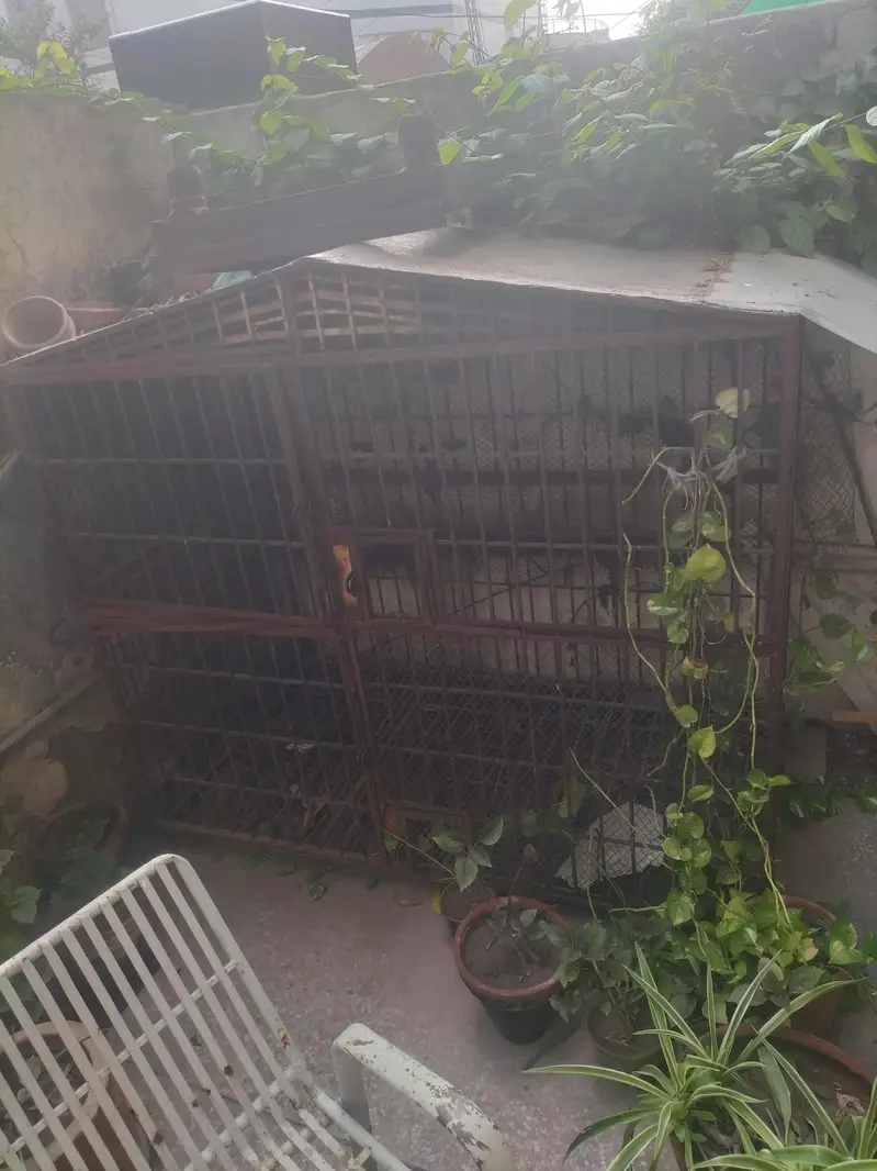 cage for sale — photo 3