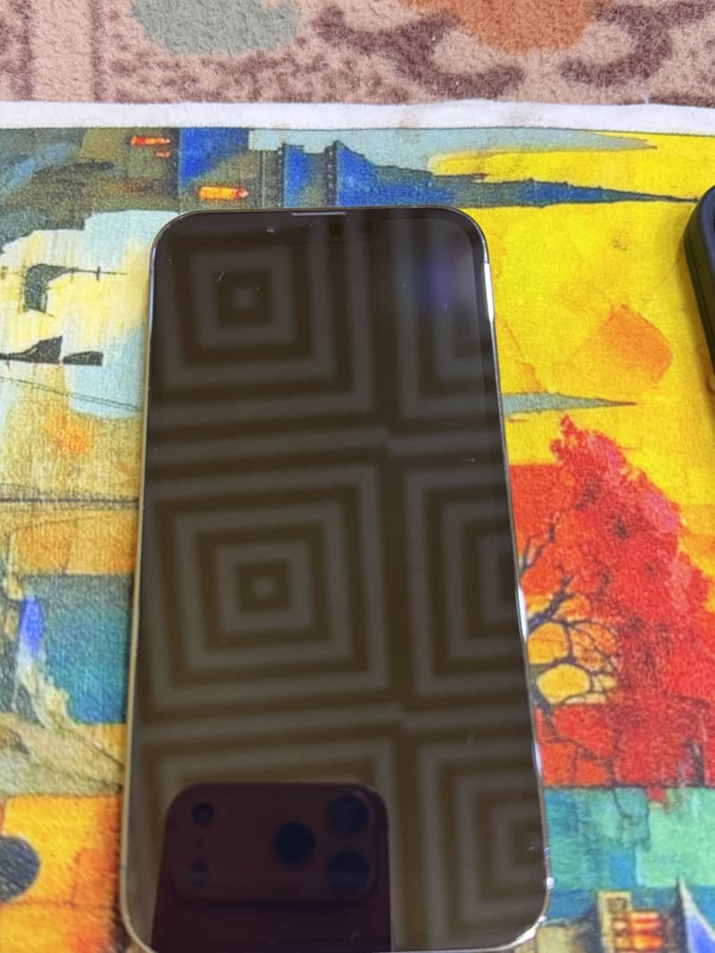 Apple iPhone 13 Pro 1