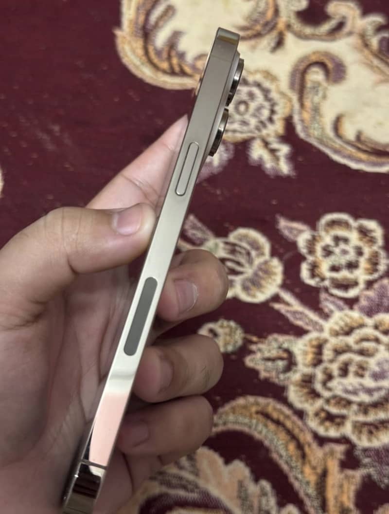 Apple iPhone 14 Pro Max 2