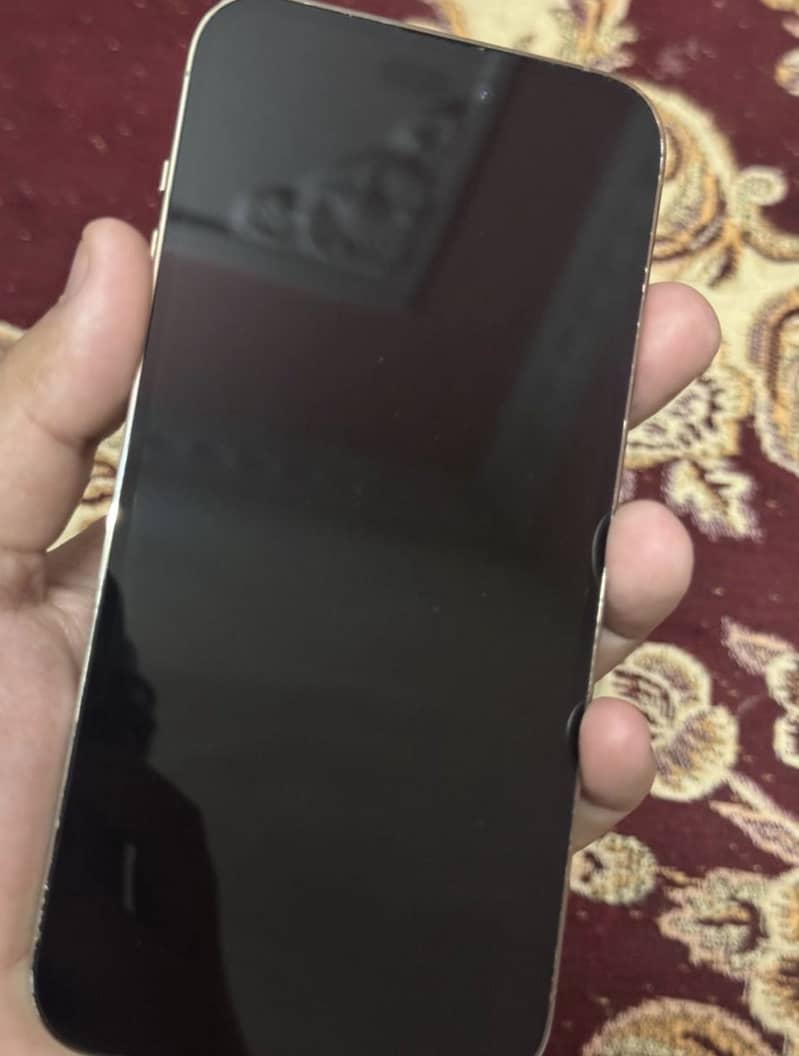 Apple iPhone 14 Pro Max 4