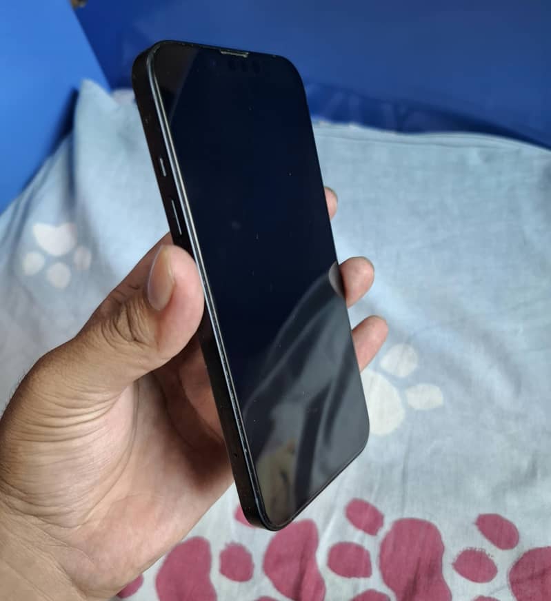 Apple iPhone 13 15