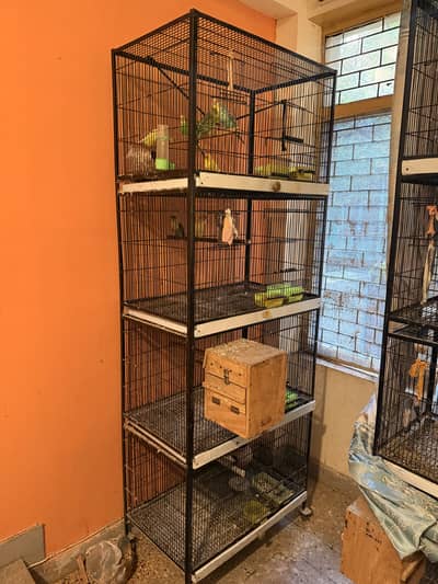 Parrot cages