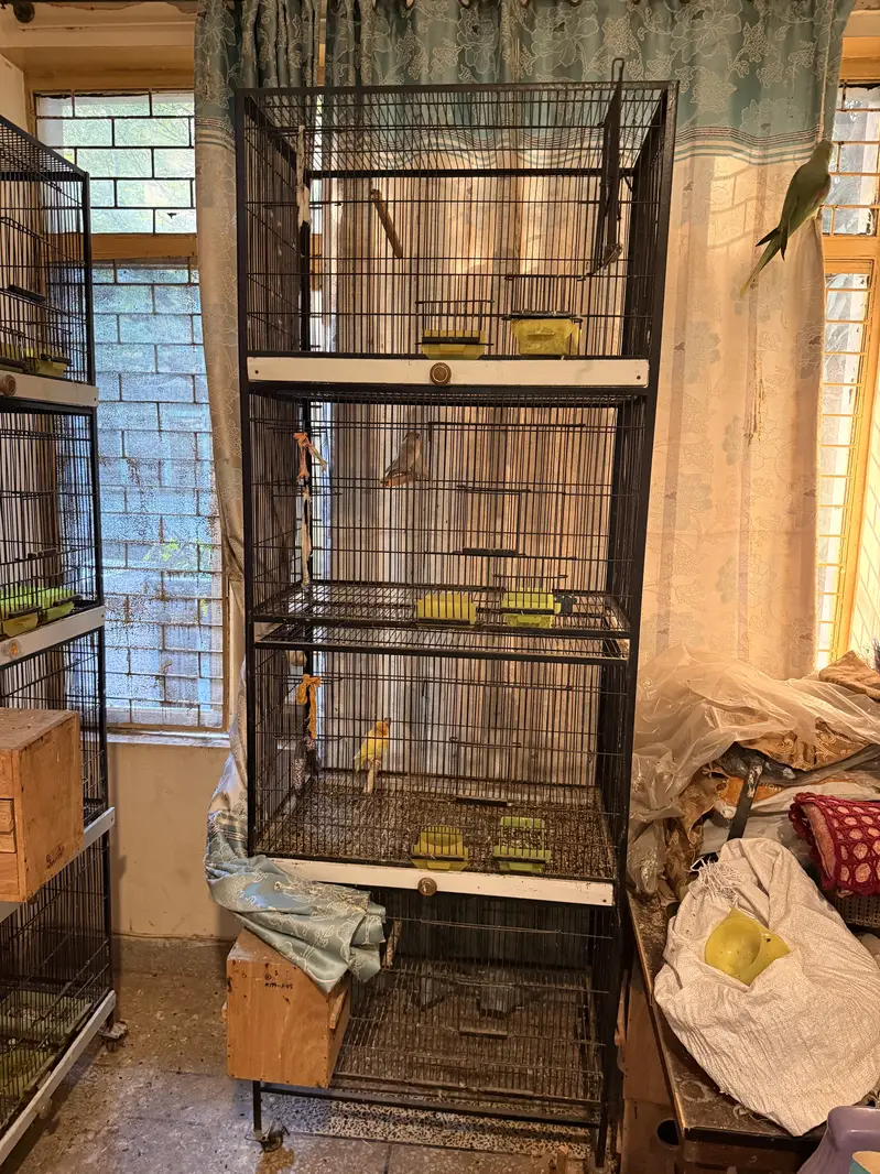 Parrot cages — photo 2
