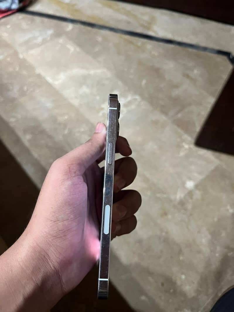 Apple iPhone 12 Pro Max 0
