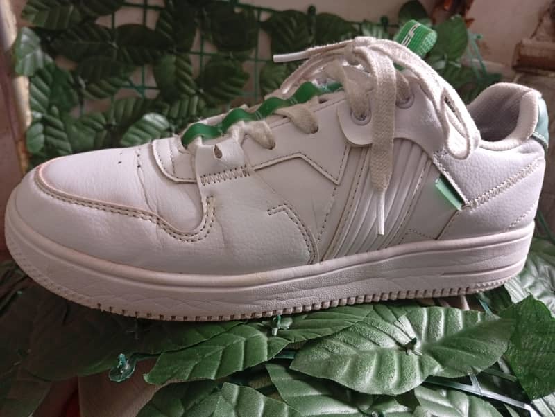 Imported Shoes  1