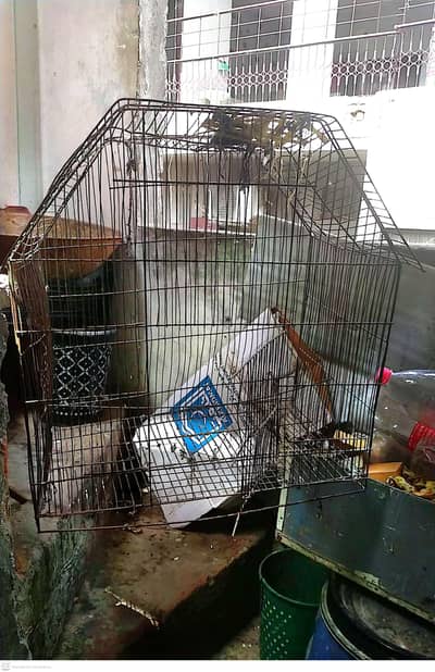  Large Size Birds Cage – Budget Price | Rs. 800 Final