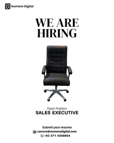 Sales Executive
