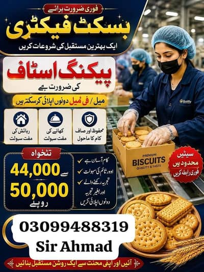need urgent staff innovative biscuits packing jobs available in lahore