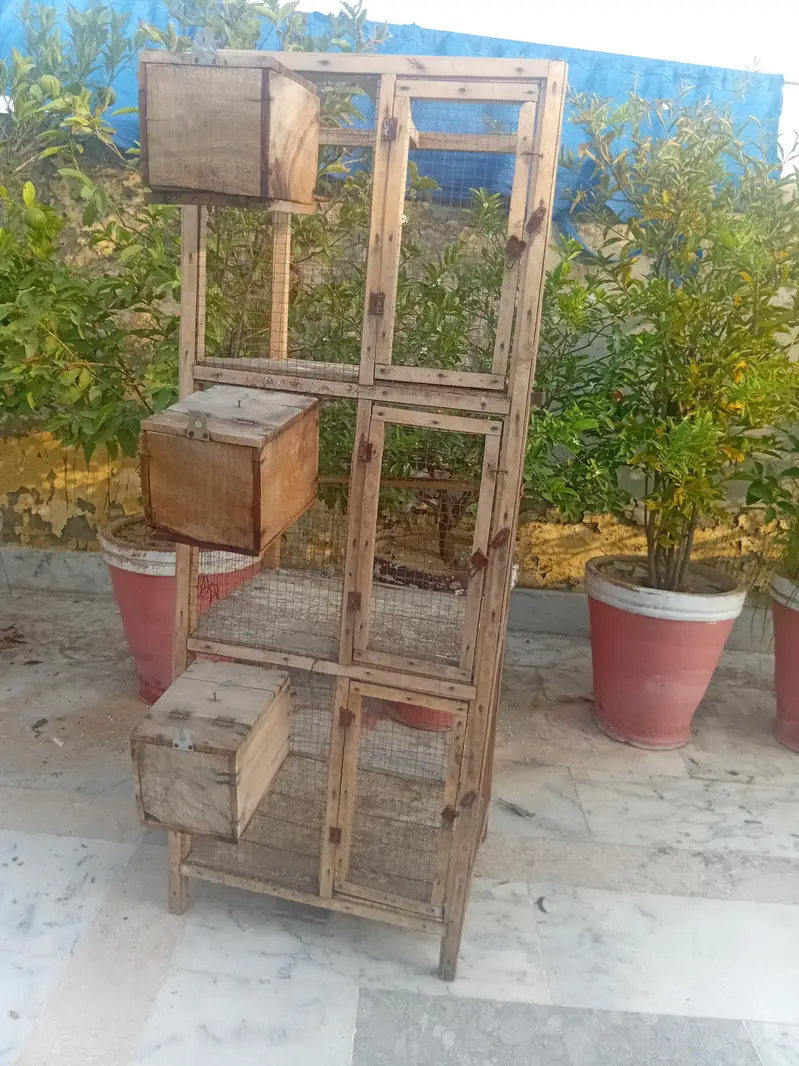 cage for small birds