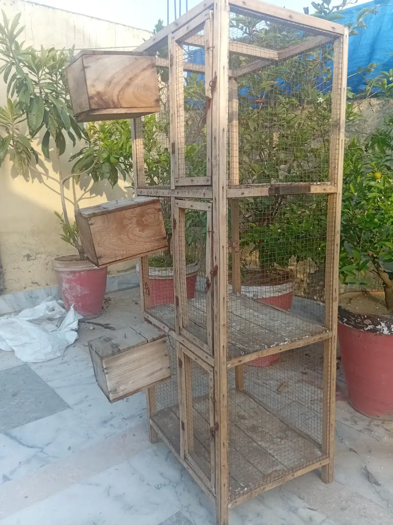 cage for small birds — photo 2
