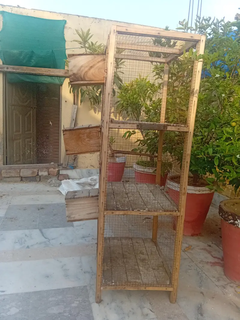 cage for small birds — photo 3