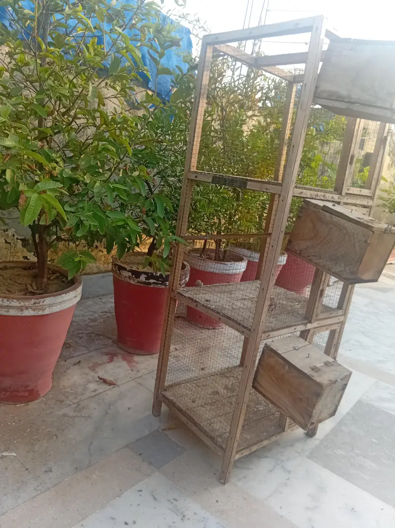 cage for small birds — photo 4