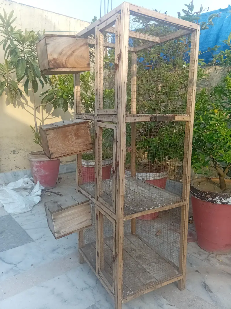 cage for small birds — photo 5
